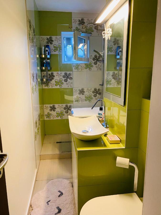 City Center Apartment Timişoara Buitenkant foto