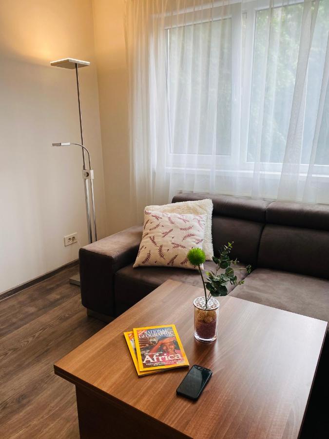 City Center Apartment Timişoara Buitenkant foto