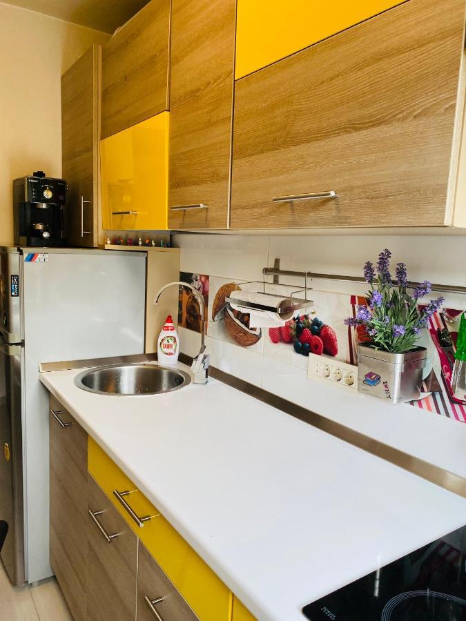 City Center Apartment Timişoara Buitenkant foto